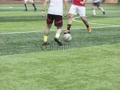 郑钦文剖析,波折与争议,应对外界干,世界杯赛程,2026世界杯,赛程表,比赛时间,参赛球队