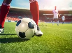 纳达尔荣耀,巅峰,双夺大满贯,世界杯赛程,2026世界杯,赛程表,比赛时间,参赛球队